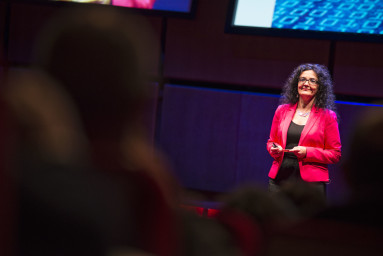 TEDxRoma - Catalina Curceanu